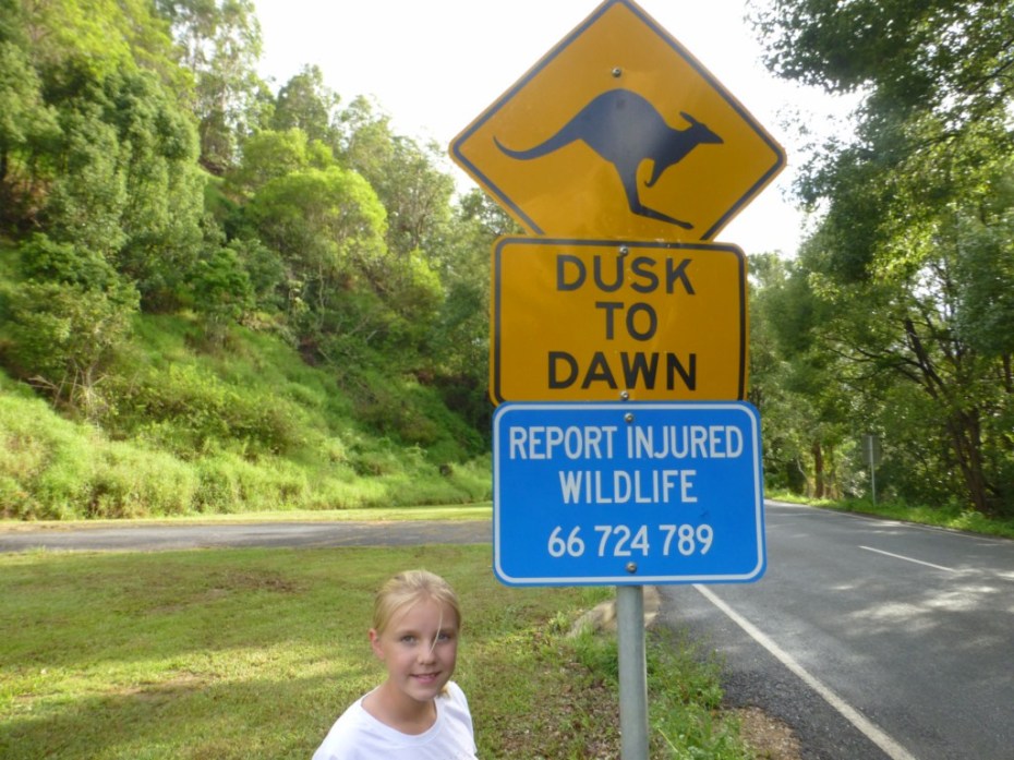 Watch out for the kangaroos