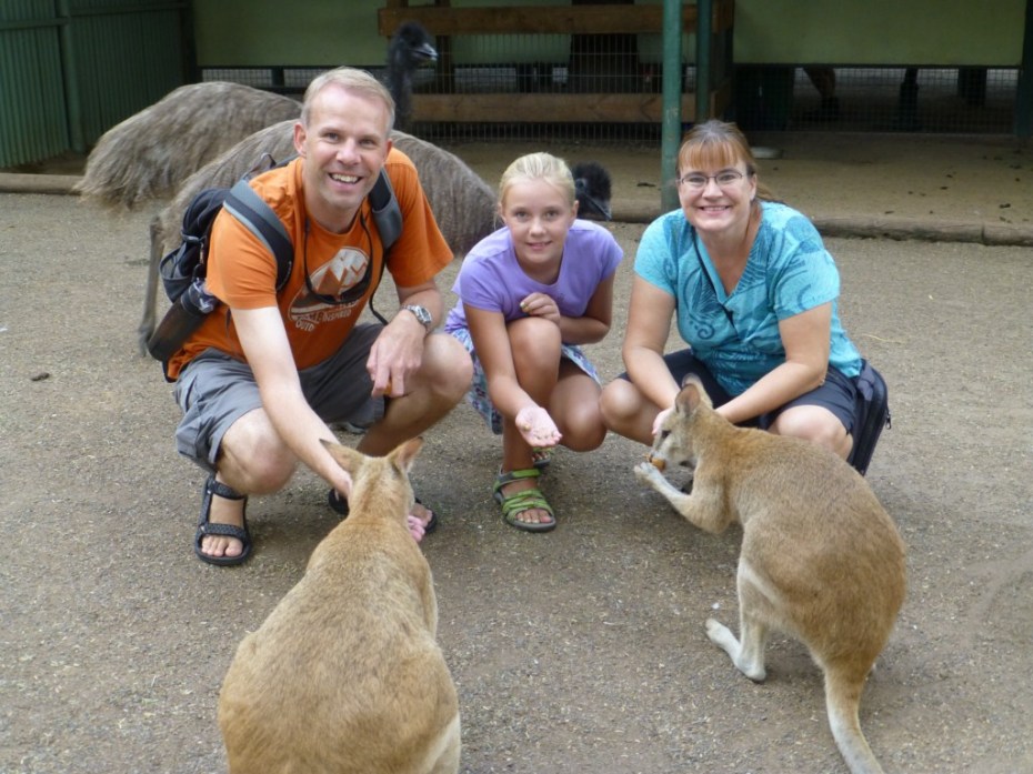 We got to feed and pet the kangaroos at Featherdale Wildlife Park