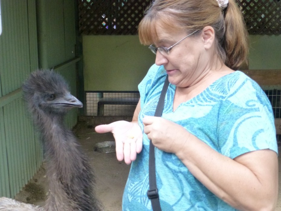 The emus were scary