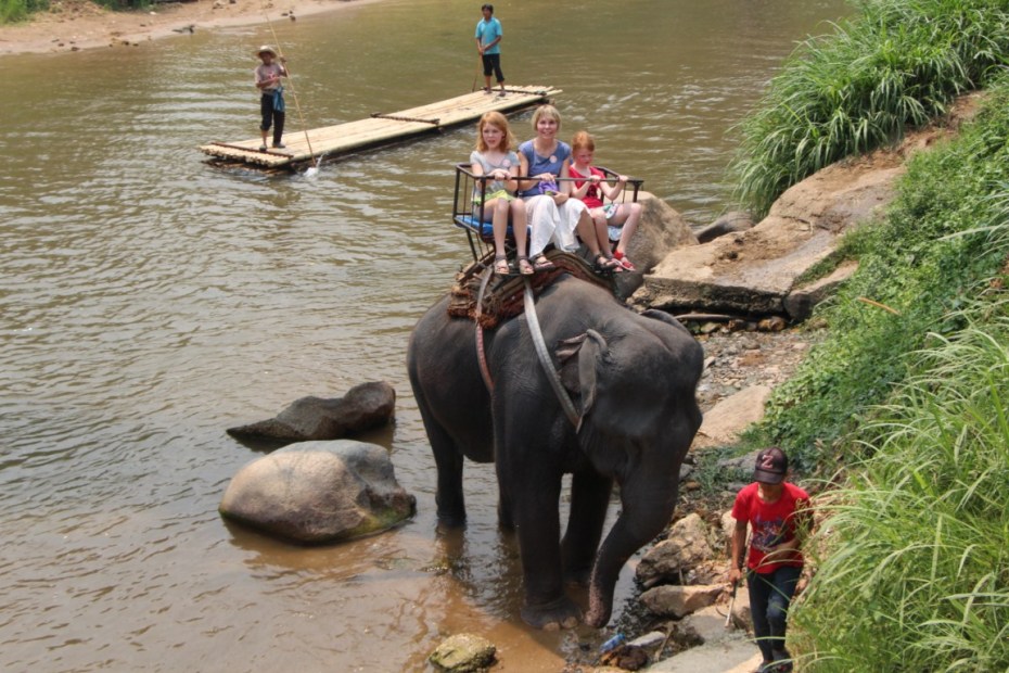 Elephant riding in Chiang Mai. North Thailand.